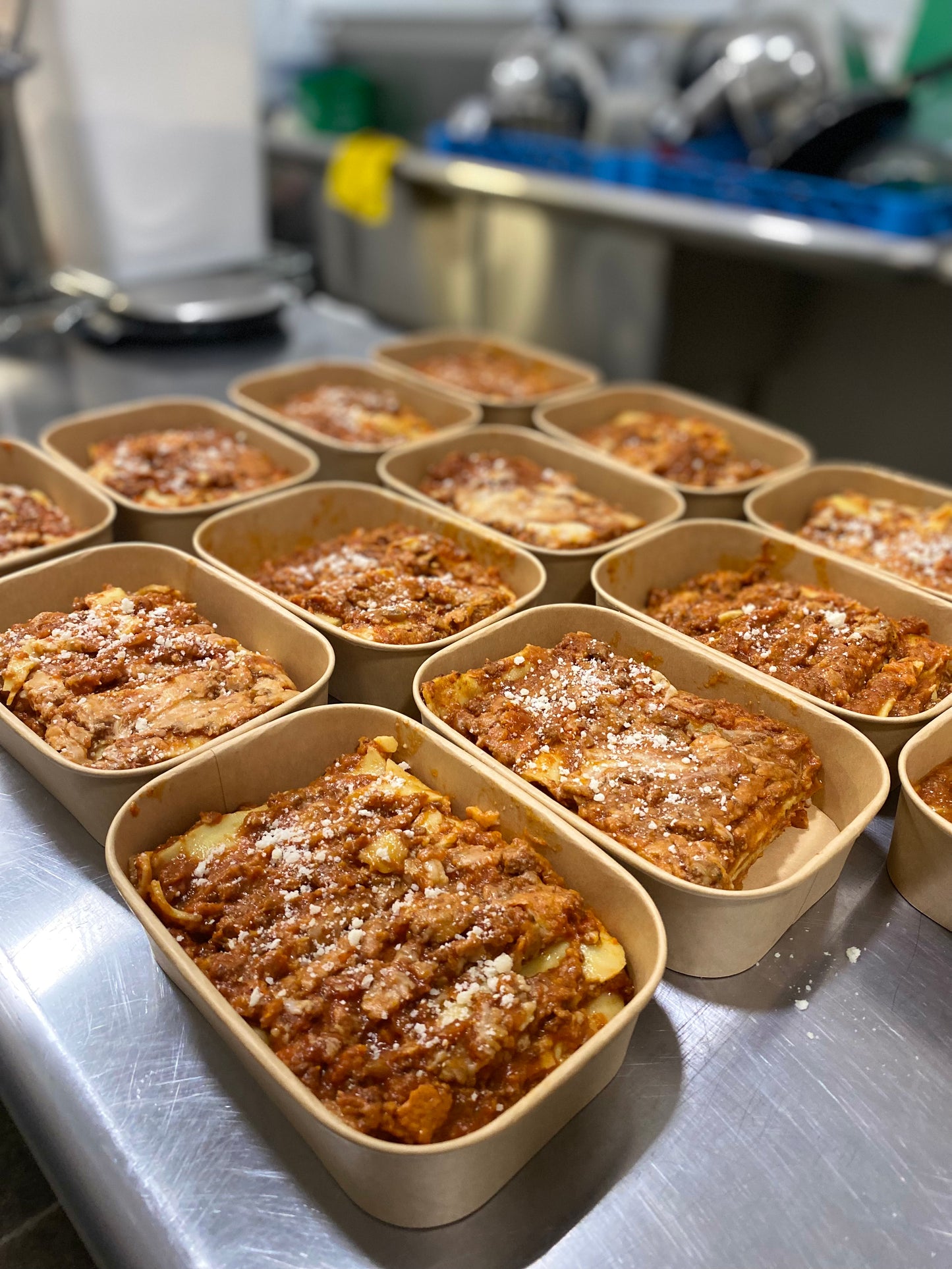 Gluten-Free Organic Plant-Based Lasagna